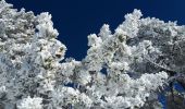 Tocht Sneeuwschoenen Lans-en-Vercors - Belvédère des Cimes et Moucherotte en raquettes - Photo 4