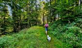 Tocht Stappen Vresse-sur-Semois - Balade à Orchimont - Les Moinils - Photo 8