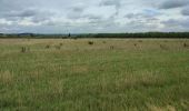 Trail Walking Hoeselt -  Sint-Huibrechts-Hern - Photo 9