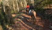 Trail Horseback riding Fougerolles-Saint-Valbert - Balade Le Sarcenot à pied 1h - Photo 1