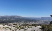 Excursión Senderismo La Penne-sur-Huveaune - La Candolle Penne sur Huvaune - Photo 1