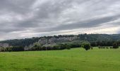 Trail Walking Aywaille - dieupart . embleve . thier bosset . kin . henoumont . vieux jardin . dieupart  - Photo 8