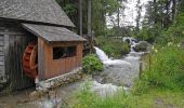 Excursión A pie Ramsau am Dachstein - Sattelberg Rundweg 