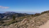 Trail Walking Marseille - Rando#3 mont Puget  - Photo 8