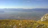 Percorso A piedi Ovindoli - Ovindoli - Serra Di Celano - Photo 1