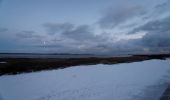 Trail On foot Texel - De Geul - Photo 4