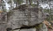 Randonnée Marche Fontainebleau - Rochers d'Avon - Photo 6