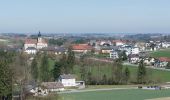 Tour Zu Fuß Adlwang - Waldlehrpfad Hallerwald - Photo 8