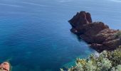 Tocht Stappen Saint-Raphaël - Cap Roux par l'Est depuis la gare du Trayas - Photo 8