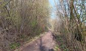 Trail Walking Esneux - mery . nomont . roche aux faucons . ourthe  - Photo 8