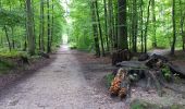 Tour Wandern Watermael-Boitsfort - Watermaal-Bosvoorde - 2020.10.05.P - Photo 2