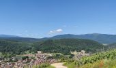 Excursión Bici de montaña Rouffach - Rouffach - Guebwiller - Photo 2