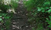 Trail Walking Pontgibaud - LA CHEIRE DE PONTGIBAUD - Photo 13
