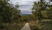 Trail Walking Taradeau - taradeau l'oppidum - Photo 4