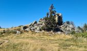 Trail Walking Metzeral - Petit-Ballon via Col du Hilsenfirst - Photo 16