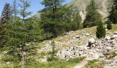 Tour Wandern Belvédère - Relais Merveille-Madone de la Fenestre - Photo 4