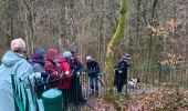 Excursión Senderismo Marche-en-Famenne - Champlon  -Famenne - Photo 10