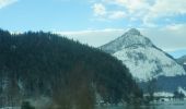 Tocht Te voet St. Wolfgang im Salzkammergut - Bürglsteig - Photo 6