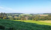 Tour Wandern Huy - Le Vallon de la Solières - Photo 3