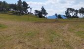 Excursión Senderismo Lézignan-Corbières - LEZIGNAN La pinède par les éoliennes - Photo 2