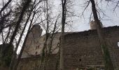 Tour Wandern Andlau - Andlau - château d'Andlau - château du Spesbourg - Photo 7