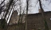 Tocht Stappen Andlau - Andlau - château d'Andlau - château du Spesbourg - Photo 7