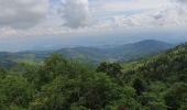 Trail Walking Masevaux-Niederbruck - Le ROOSBERG-1 - Photo 2