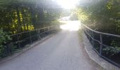 Tour Wandern Zabern - Les 4 châteaux de Saverne - Photo 1