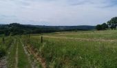 Tour Wandern Esneux - autour de fontin par les prés les champs les bois et les hameaux - Photo 3