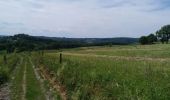 Tocht Stappen Esneux - autour de fontin par les prés les champs les bois et les hameaux - Photo 3