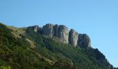 Excursión Senderismo Marignac-en-Diois - Marignac - But de l'Aiglette - Col de Vassieux - Photo 11