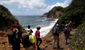 Excursión Senderismo Le Lorrain -  la crabière en boucle  - Photo 12