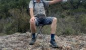 Tour Wandern Saint-Raphaël - Les 5 cols- Esterel - Photo 8