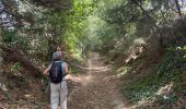 Tocht Stappen Lubbeek - Linden (Wijn lasses) variante  - Photo 9