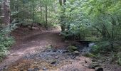 Tocht Stappen La Roche-en-Ardenne - Samrée août 23 - Photo 6