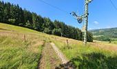 Tour Wandern Stoumont - A la découverte de la piste de ski du Mont des Brumes - Photo 8