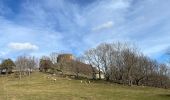 Percorso Marcia Murol - Château de Murol, Lac charbon et dent du marais. - Photo 1