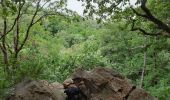 Randonnée Marche Seraing - Dans les bois de Seraing - Photo 3