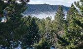 Trail  Die - Val croissant comptoir des moutons - Photo 9