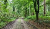 Tour Wandern La Ferté-Milon - La Ferte Milon le 26/09/2024 - Photo 4