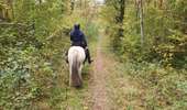 Trail Equestrian Charleville-sous-Bois - Wikiloc - Gondreville - Les secrets des bois - Photo 16