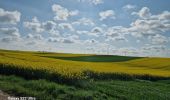 Tour Mountainbike Mesnil-Saint-Laurent - mesnil-fresnoy le grand-montbrehain -lesdits  - Photo 4