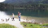 Excursión A pie Ramsau bei Berchtesgaden - Wikiloc Ramsau Hintersee+Zauberwald - Photo 2