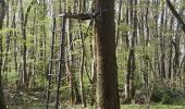 Randonnée Marche Messon - Bois de Vieux, bois Lorgne - Photo 2