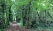 Trail Walking Bouteville - Bouteville : Sentier des Chaumes Boissieres - Photo 9