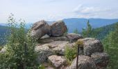 Tour Wandern Niederhaslach - Niederhaslach - châteaux Ringelstein - Rochers du Pfaffenlapp et du Breitberg - Photo 8