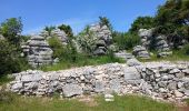 Trail Walking Courmes - Courmes, Plateau de St Barnabé, le Champ des Idoles - Photo 5