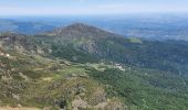 Trail Walking Montferrier - st Barthélémy  - Photo 1