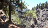 Randonnée A pied El Paso - Wikiloc La Palma Caldera de Taburiente (PVDB) - Photo 13