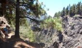 Trail On foot El Paso - Wikiloc - Caldera de taburiente Los Brecitos to Parking Barranco de las Angustias - Photo 13